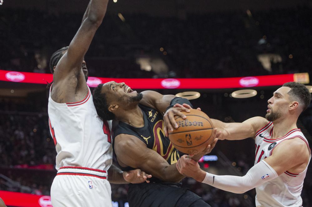 善于利用网 善于利用网